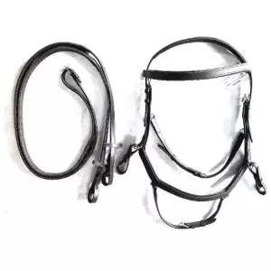 Competition English Bridle - Premium Quality Leather - Stainless steel hardware